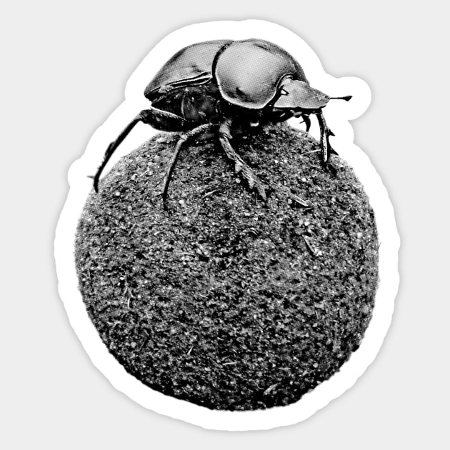 Dung Beetle on Dung Ball African Wildlife Sticker by scotch